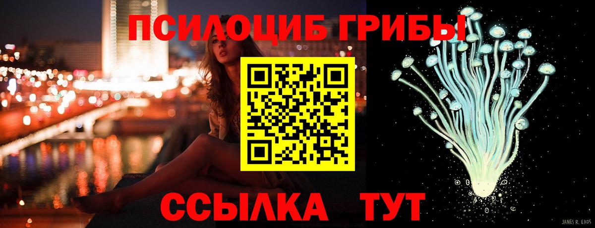 Карасук  Галлюциногенные грибы мухоморы  Галлюциногенные грибы Psilocybe  Вход с VPN 